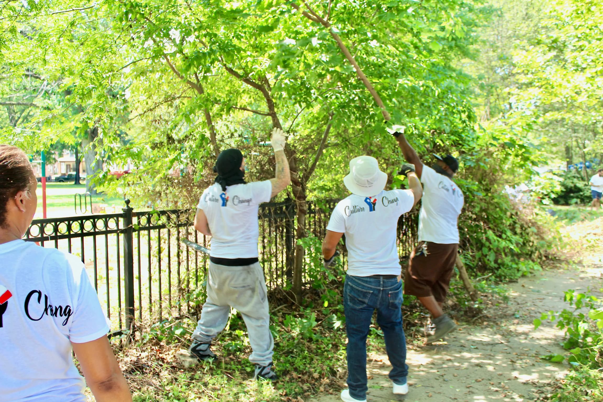 Hands planting together - Cultivating change